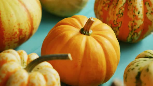 Pumpkins Laid in Row on Table