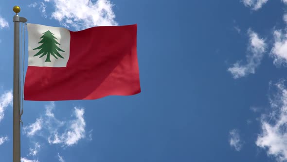 New England Flag (Usa) On Flagpole