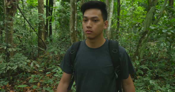 Man Hiking In Forest