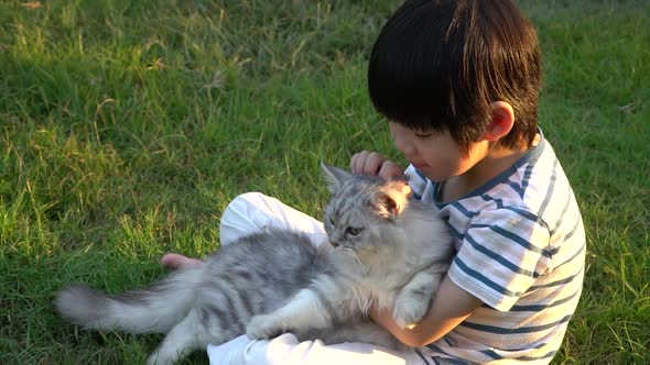Cute Asian Child Playing With Persian Cat In The Park Outdoor