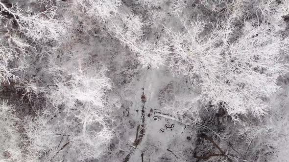 Aerial footage over forest after snow storm