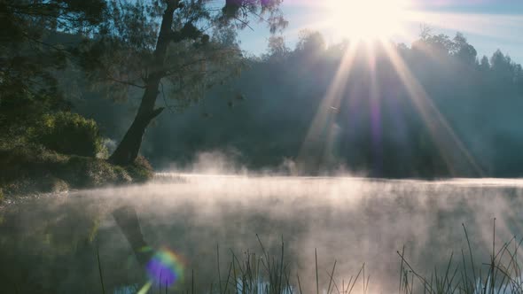 slow track in move , closely to the lake with dramatic backlighting , and mist adds the surreal and