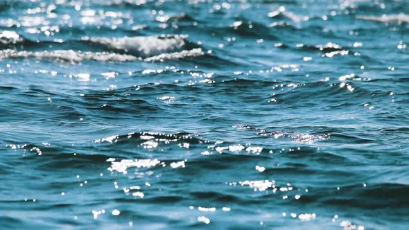 Sea