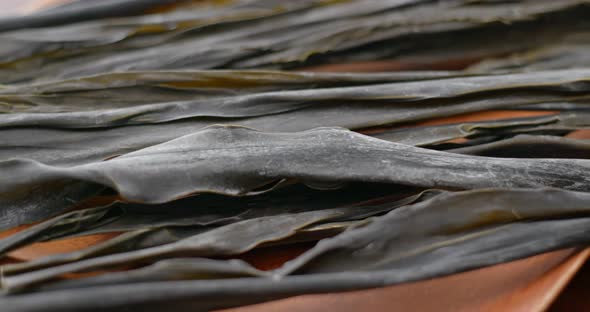 Dry of the Kelp close up