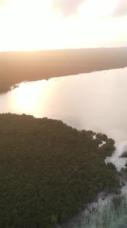 Tanzania  Coast of Zanzibar Island Covered with Thickets Slow Motion