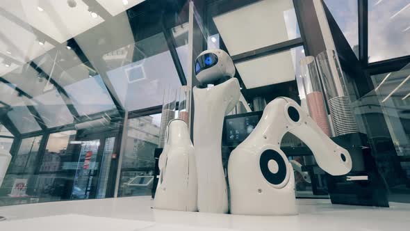 Coffee-serving Robot Is Moving Its Arms While Waiting for Clients