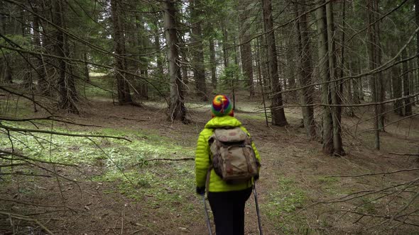 A Woman with a Backpack Travels in the Forest