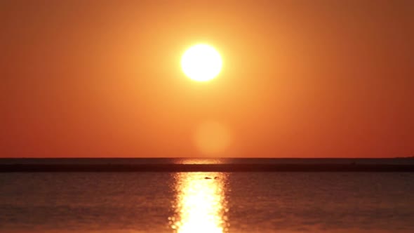 Bird diving in ocean in front of sunset