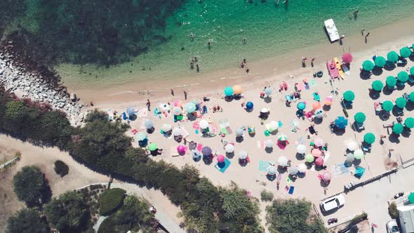 Aerial Overhead View of Lined Beach Umbrellas on a Tropical Beach