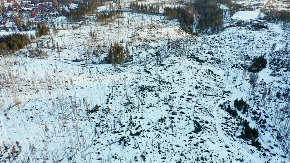 Snowy terrain with barren woodland in Poland, cut down forest, aerial