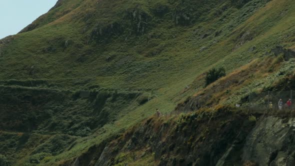 People hiking on a sunny green hillside