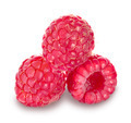 raspberry - PhotoDune Item for Sale