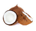 Coconut - PhotoDune Item for Sale