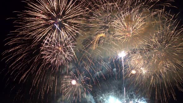 Colorful Firework display at night on sky background