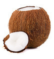 Cracked coconut - PhotoDune Item for Sale