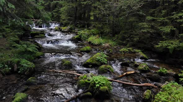 River Flowing Over Rocks in the Forest