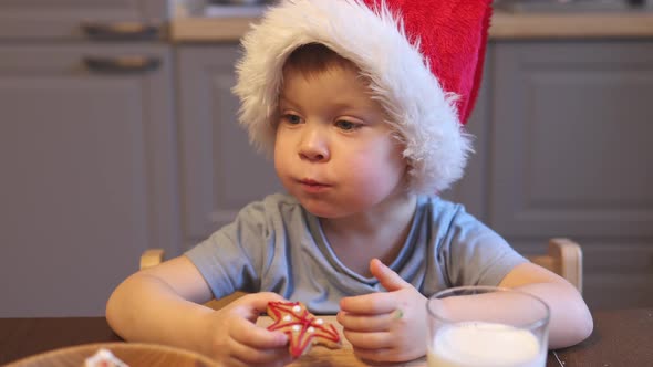 Little Caucasian Child Boy 3 Year Santa Red Hat Eating Chewing Homemade Cookie