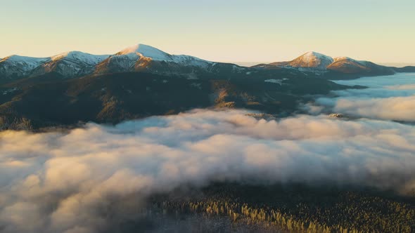 Aerial view of vibrant sunrise over Carpathian mountain hills covered with evergreen spruce