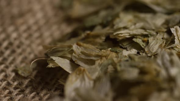 Rotating shot of barley and other beer brewing ingredients