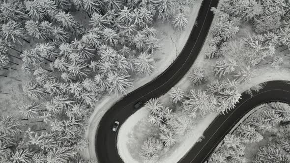 Aerial View on the Serpentine s Shape Road with Moving Automobiles in the Frozen Forest