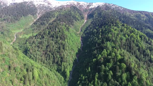 Long Distance Flight in Wide Valley in Forest