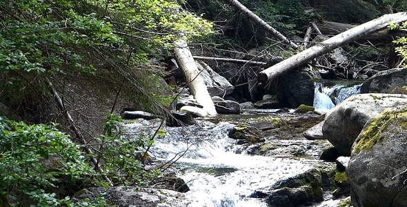 Mountain River 7 alt