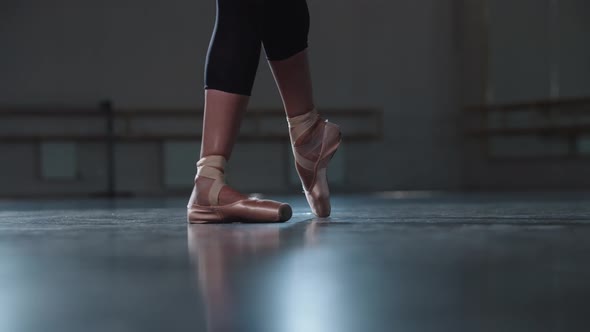 Professional Woman Ballerina Standing in the Position Wearing Pointe Shoes