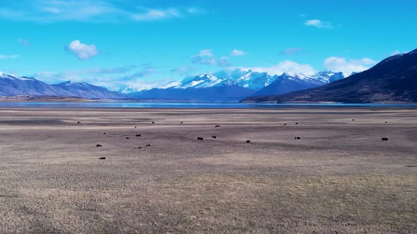 Patagonia landscape. Famous town of El Calafate at Patagonia Argentina