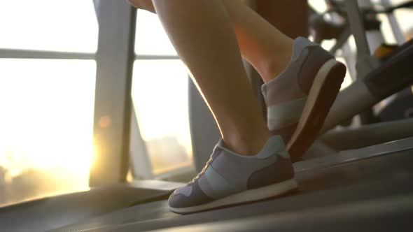 Female Legs Running on Treadmill Machine in Sunlight Gym, Purposeful Woman, Goal