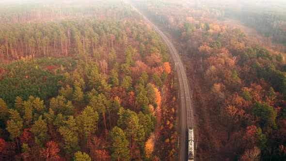 Cargo Train with Freight Cars Goes Through the Autumn Forest in a Haze  Aerial Shot