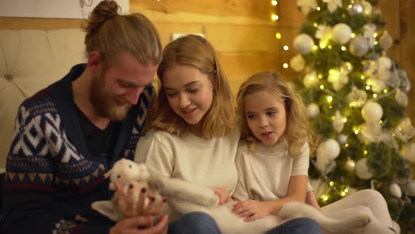 Splendid Family of Three Person Hugging Each Other and Playing with Little White Husky Dog Sitting