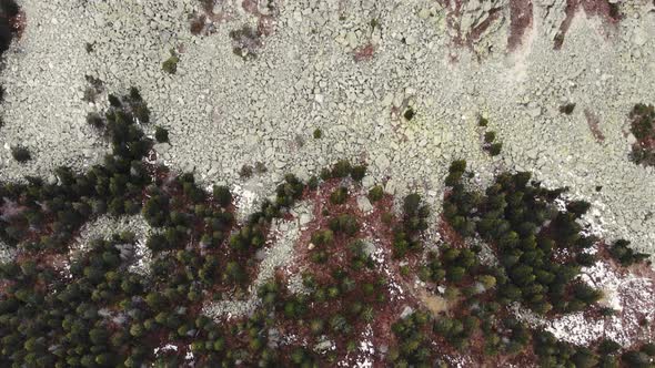 Aerial View of the River of Stones Among the Dense Coniferous Forest and the Top of the Mountain