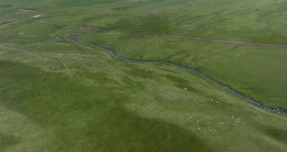 Aerial Panorama Of Ktsia-Tabatskuri Managed Reserve With Grazing Animals In Akhalkalaki, Samtskhe-Ja