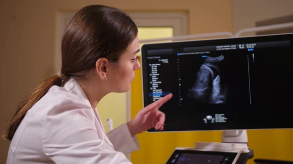 Female Obstetrician During Pregnancy Ultrasound