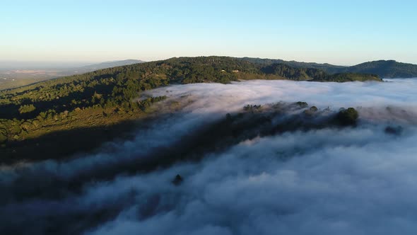 Low Laying Clouds