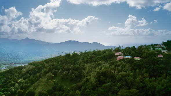 Aerial shot of colorful houses in a dense forest (Rodney Bay, Saint Lucia)