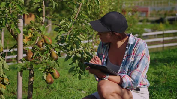 Student Botanist on Organic Farm in Summer Woman Visitor of Agriculture Area