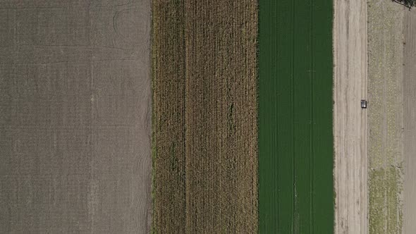 Aerial View of Farmland with Different Color Tones