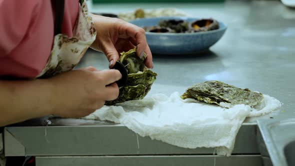 Opening Oysters in the Restaurant Kitchen