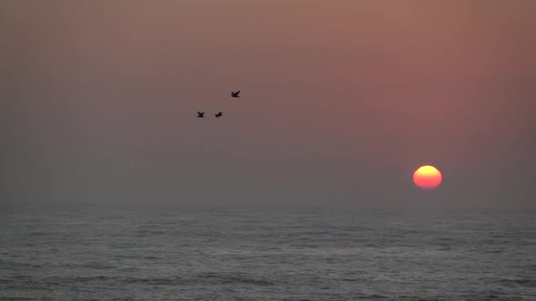 Sunset & Birds