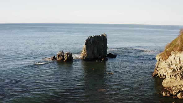 A Flock of Cormorants Resting on a Rock in the Sea of Japan