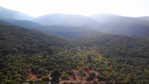 Aerial Drone View Flight Over Tree Forest in Mountain 