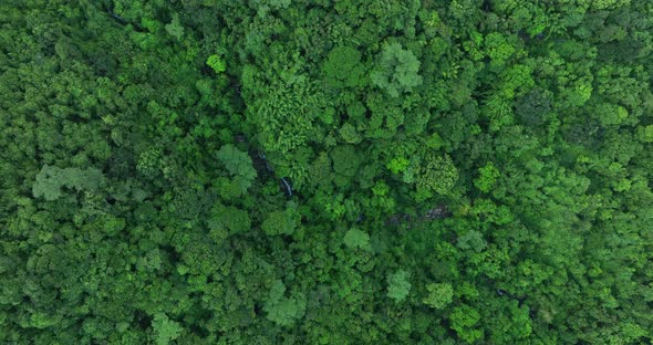 Aerial footage of beautiful tropical forest mountain landscape in summer