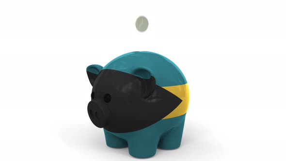 Coins Fall Into Piggy Bank Painted with Flag of Bahamas