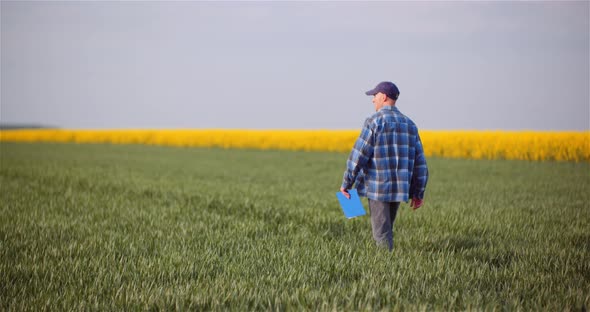 Agriculture - Farmer Walking on Field Examining Crops at Agricultural Farm