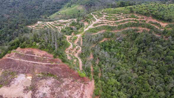 Drone view land clearing at hill