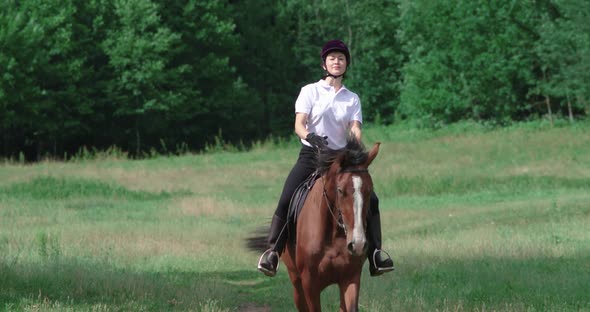 Woman Rider on Horseback Riding in a Clearing Near the Forest, Horse Walking Along a Field