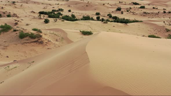 Aerial Top View on Sand Dunes in Gobi Desert