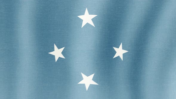 The National Flag of Federated States of Micronesia alt