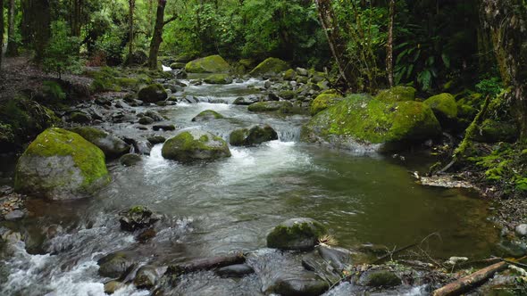 Aerial Drone View of River in Costa Rica Rainforest Scenery, Beautiful Nature with Water Flowing Thr